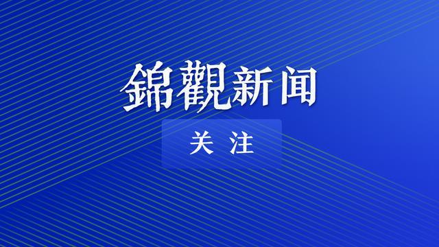 2025新澳精准免费大全|精选解释解析落实